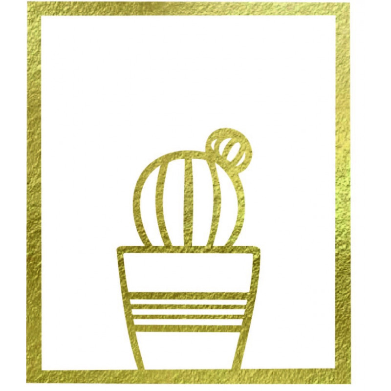 Modern festmény a falon - KAKTUSZ ALDER | SENTOP