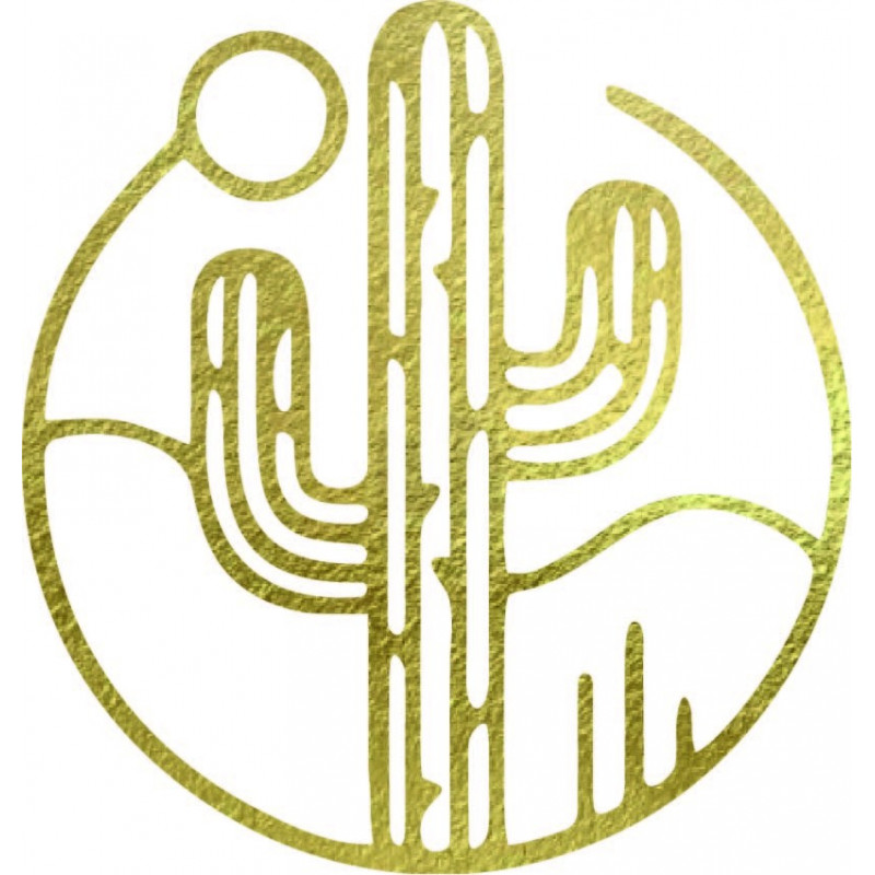 Fából készült fali kép egy kaktuszról a nappal...