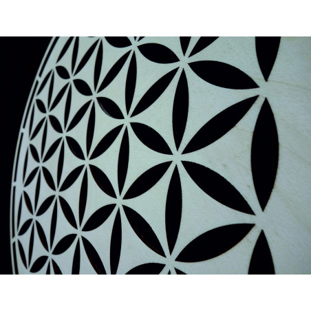 Fa mandala, faldekoráció - HAAMONY