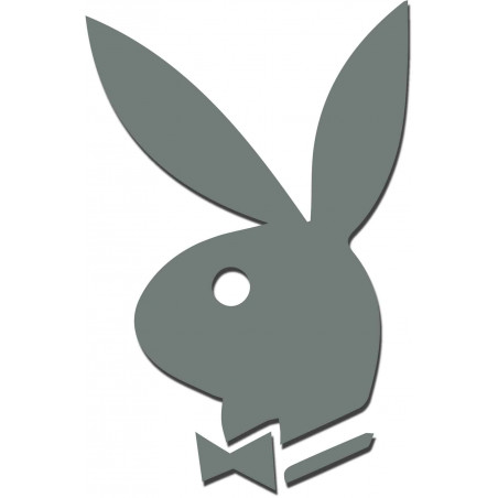 Dekoratív tükrök. Tükörmatricák falra, képként vagy dekorációként, 3D akrilmatrica Dekoratív tükrök. Tükörmatricák falra, képként vagy dekorációként, 3D akrilmatrica