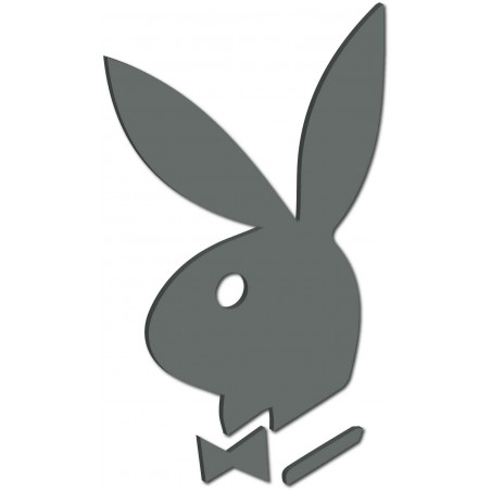 Dekoratív tükrök. Tükörmatricák falra, képként vagy dekorációként, 3D akrilmatrica Dekoratív tükrök. Tükörmatricák falra, képként vagy dekorációként, 3D akrilmatrica