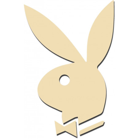 Dekoratív tükrök. Tükörmatricák falra, képként vagy dekorációként, 3D akrilmatrica Dekoratív tükrök. Tükörmatricák falra, képként vagy dekorációként, 3D akrilmatrica