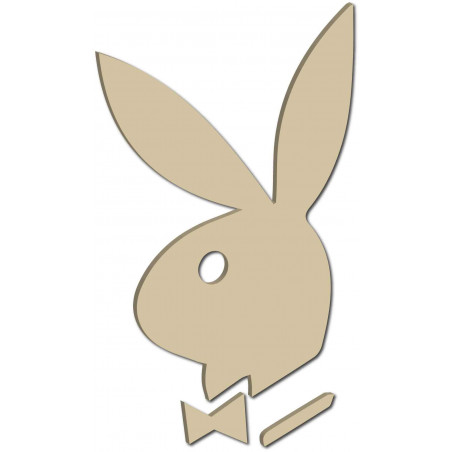 Dekoratív tükrök. Tükörmatricák falra, képként vagy dekorációként, 3D akrilmatrica Dekoratív tükrök. Tükörmatricák falra, képként vagy dekorációként, 3D akrilmatrica